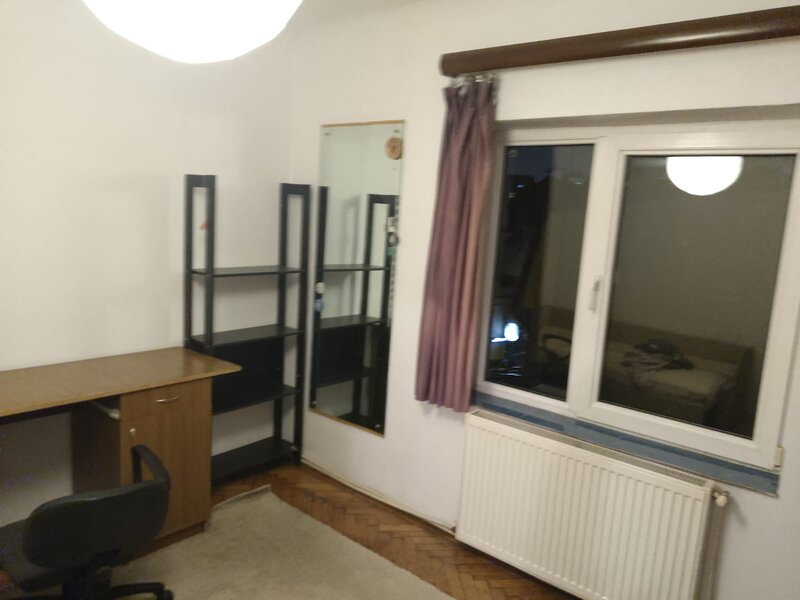 Mosilor, Pache Protopopescu