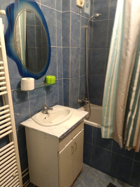 Mosilor, Pache Protopopescu